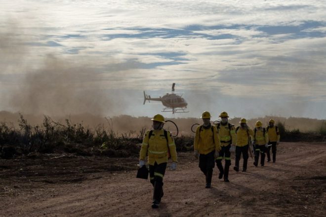 Vagas tem prazo de seis meses e carga horária de 40 horas semanais